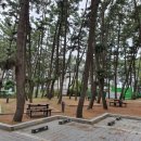 해변마트.몽산포해변펜션