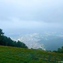 [강원도 영월군] 영월중앙시장