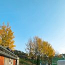 석정사슴 이미지