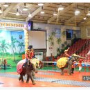 점보빌리지 이미지