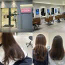동양미용실 - 당진시 | 부천상동미용실 클리닉 후기With살롱더샹델 부천상동점