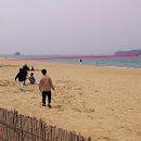 무창포해수욕장 이미지