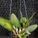 원희농장 이미지