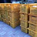 서구노인복지관(6) 이미지