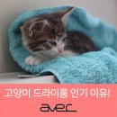 한*대
