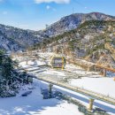 케이블카 이미지