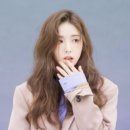 현애견미용실 네이버블로그
