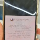 멍고싶냥 네이버블로그