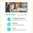 유미사 이미지