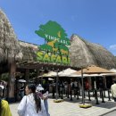 멍하니반하다 이미지