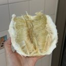 [대만 과일 정보] 대만 겨울과일 포멜로 ‘대백유’ &amp; 가격, 먹어본 후기 등