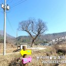 백운면행정복지센터 이미지