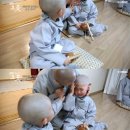 까까머리 Daum카페