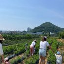 프리미어아레나승마클럽 네이버블로그