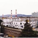 대동스크린 이미지