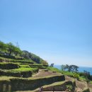 남해밥상 | [남해] 다랭이밥상 후기, 다랭이마을의 톳멍게비빔밥 맛집! + 다랭이마을 구경하기