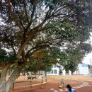 좋은빛목장 이미지