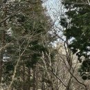 서툰산악회 ~보리암길따라(동구박님 작품) 이미지