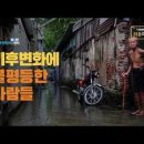 J＆P태권도 이미지