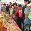 상촌 다목적광장 이미지