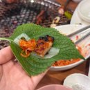 청주 하복대 참숯골닭갈비 : 잡내 안 나는 닭갈비와 닭목살 (복대동 맛집)
