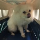 대연1치안센터 이미지