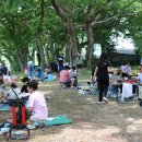 해피데이 이미지