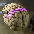 곤지곤지잼잼 이미지