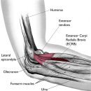 내외리버스퀘어 이미지