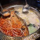 훠궈하우스 | 고터맛집 하우스오브신세계 미가훠궈 재방문 후기