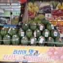 황금청과 - 창원시 마산회원구 광려로 41 | 황금청과