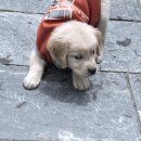 공감＋동물의료센터 이미지