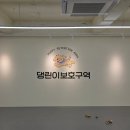 정평초어린이보호구역 | [댕린이 보호구역] 서울 양평 실내 애견카페 추천 내돈내산 방문 후기