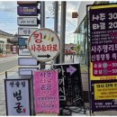 신비한타로사주