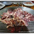 다사유황오리 이미지