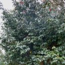 돌집농장 이미지