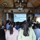 낭만고양이병원 이미지