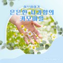 허브이야기 이미지