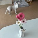 명산종합건설(주) | 9월 첫째 주의 일기 :: 등산과 개강