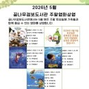 꿈나무가족도서관 웹이코노미