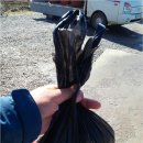 마정2리 이미지