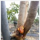 원구농장 이미지