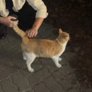 PC방가자 이미지