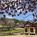 예산-73 | [충청남도 예산군] 전통예산옹기