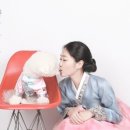 견우애견 이미지