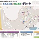 매당 전민일보