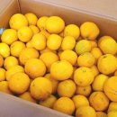 오영농장 이미지