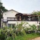 용인별바라기 이미지