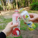 이프멍멍 이미지