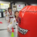 동원태권도장 이미지